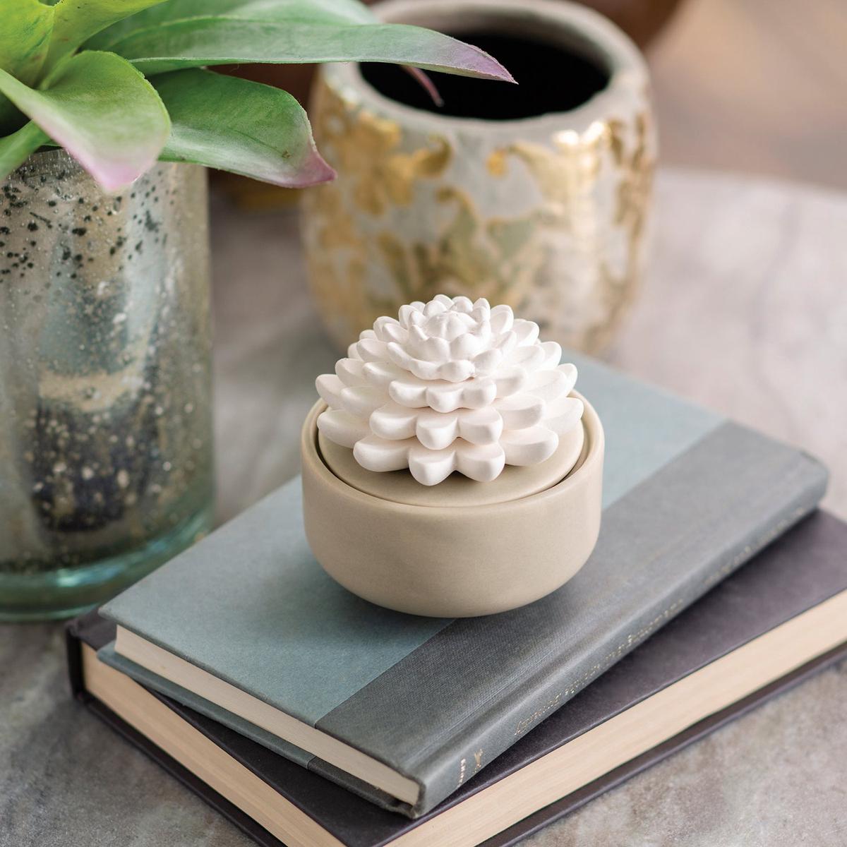 Succulent Porcelain Essential Oil Diffuser PDSCL